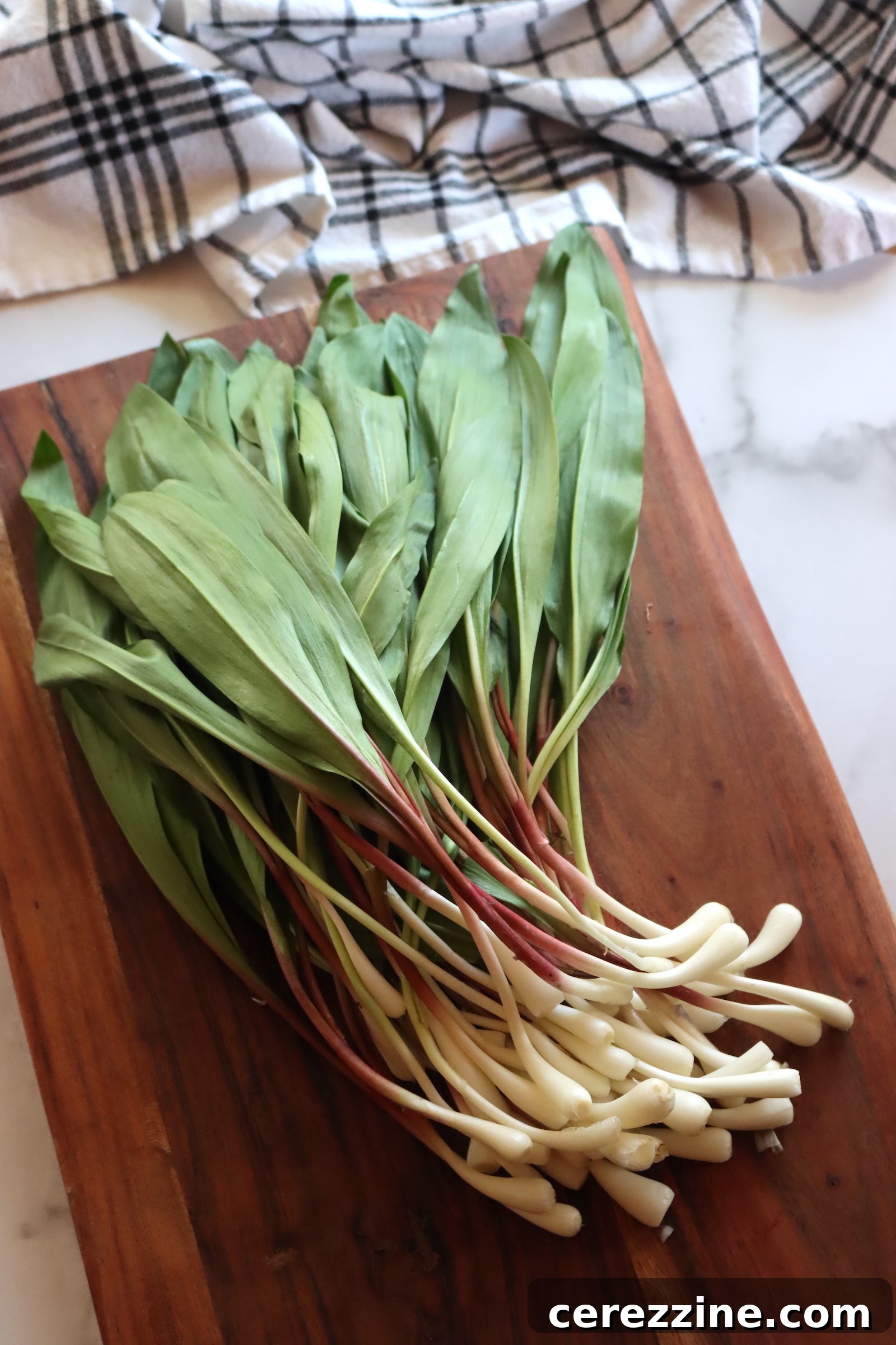 Wild ramps being cleaned and prepared for pickling