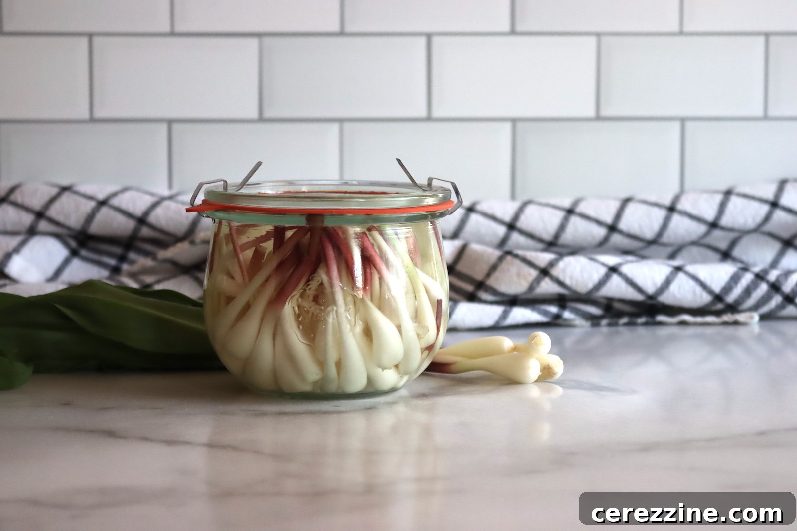 Freshly packed jars of pickled ramp bulbs