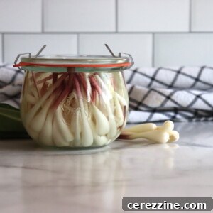 Pickled Ramp Bulbs