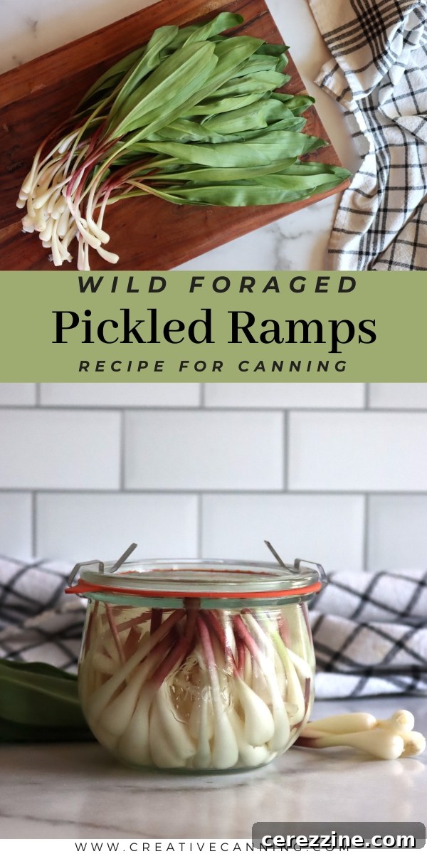 Selection of pickled ramp recipes and jars