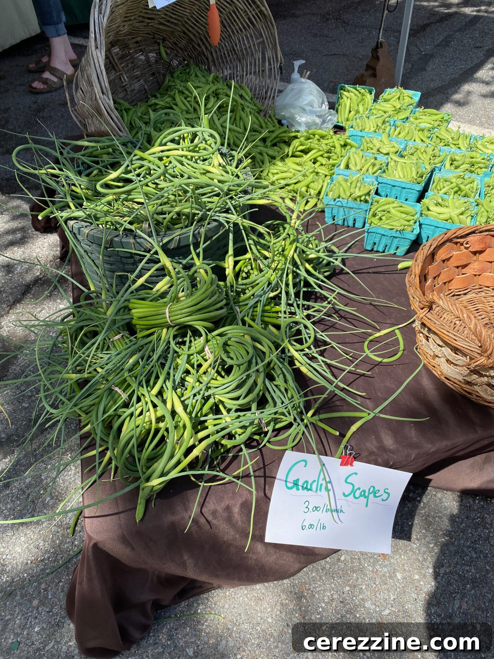 Bundles of Fresh Garlic Scapes at a Farmer's Market