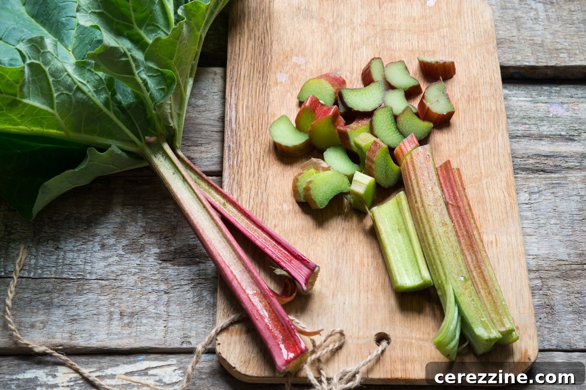 Sweet-Sour Rhubarb Preserve 3 Fresh Rhubarb Stalks Ready for Pickling