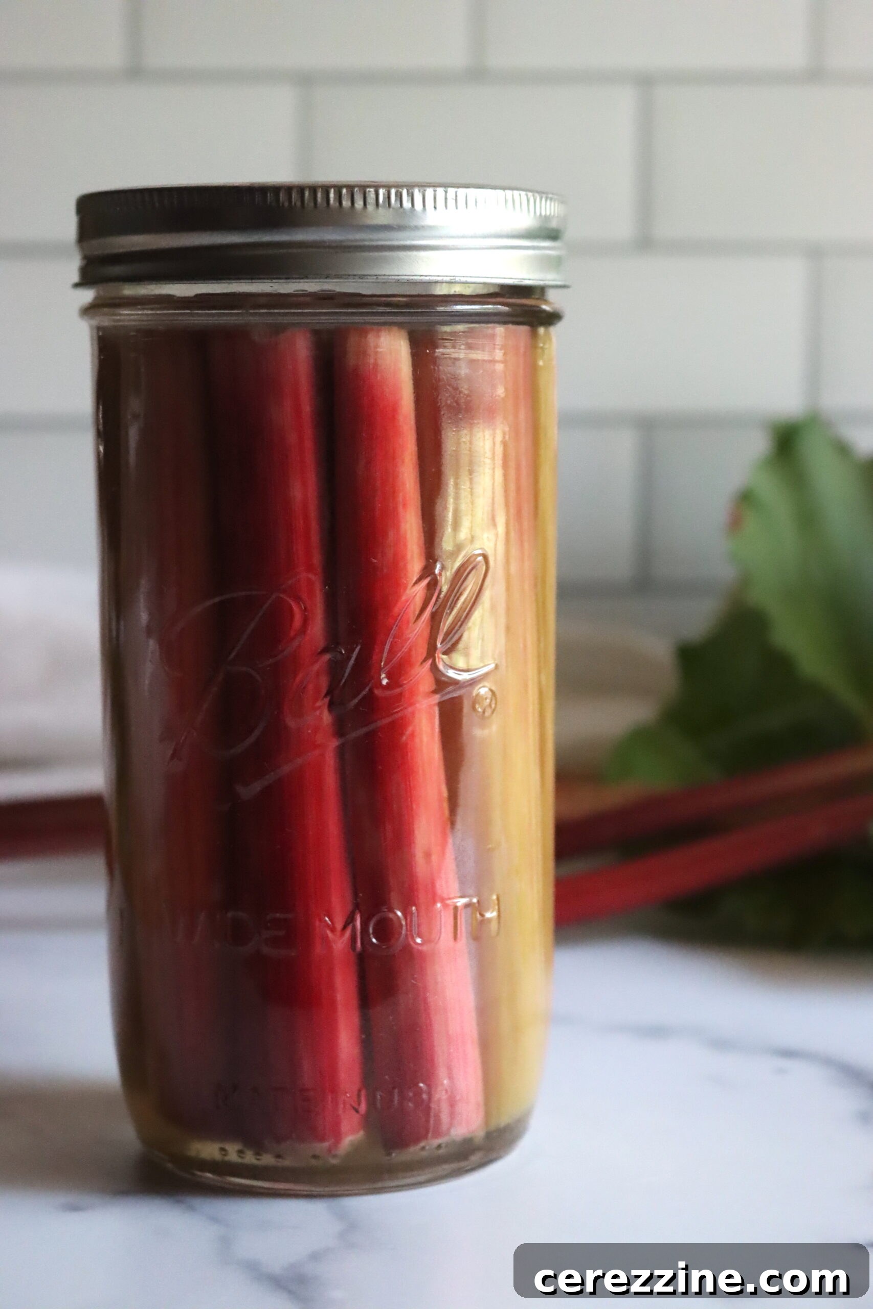 Sweet-Sour Rhubarb Preserve 6 Canning Jars and Altitude Chart
