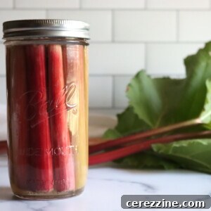 Sweet Pickled Rhubarb