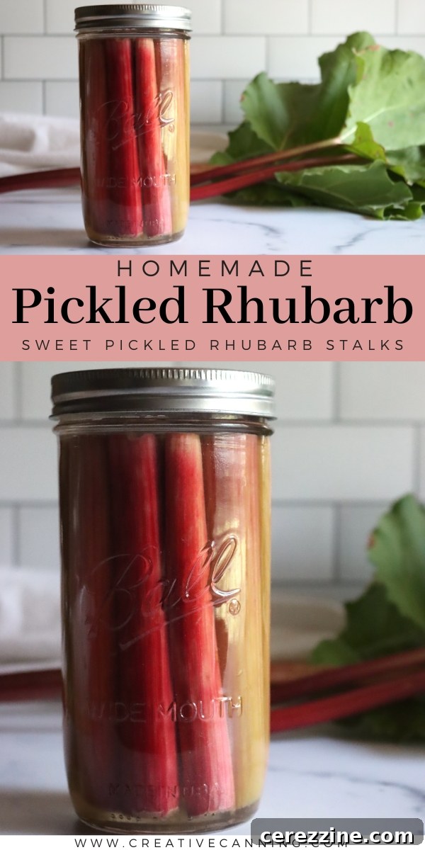 Sweet-Sour Rhubarb Preserve 8 Collection of Pickled Rhubarb Jars