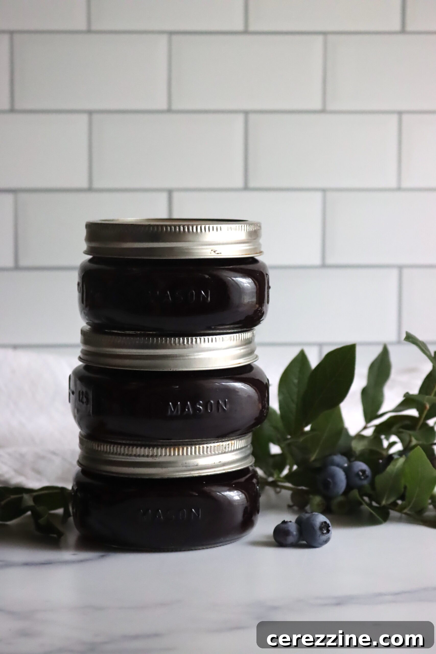Blueberry Bliss Spread 6 Blueberry Butter