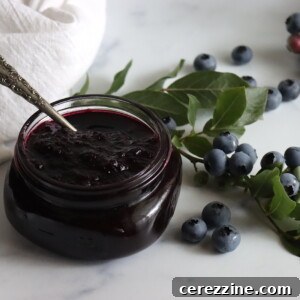 Blueberry Butter