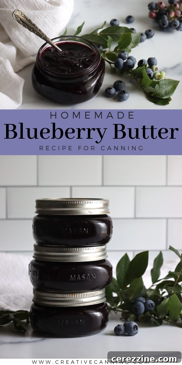 Blueberry Bliss Spread 8 Blueberry Butter Recipe