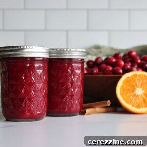 Cranberry Orange Sauce Recipe Image