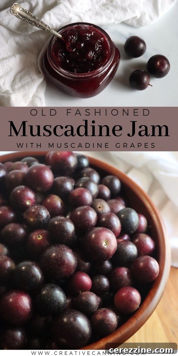 Old Fashioned Muscadine Jam