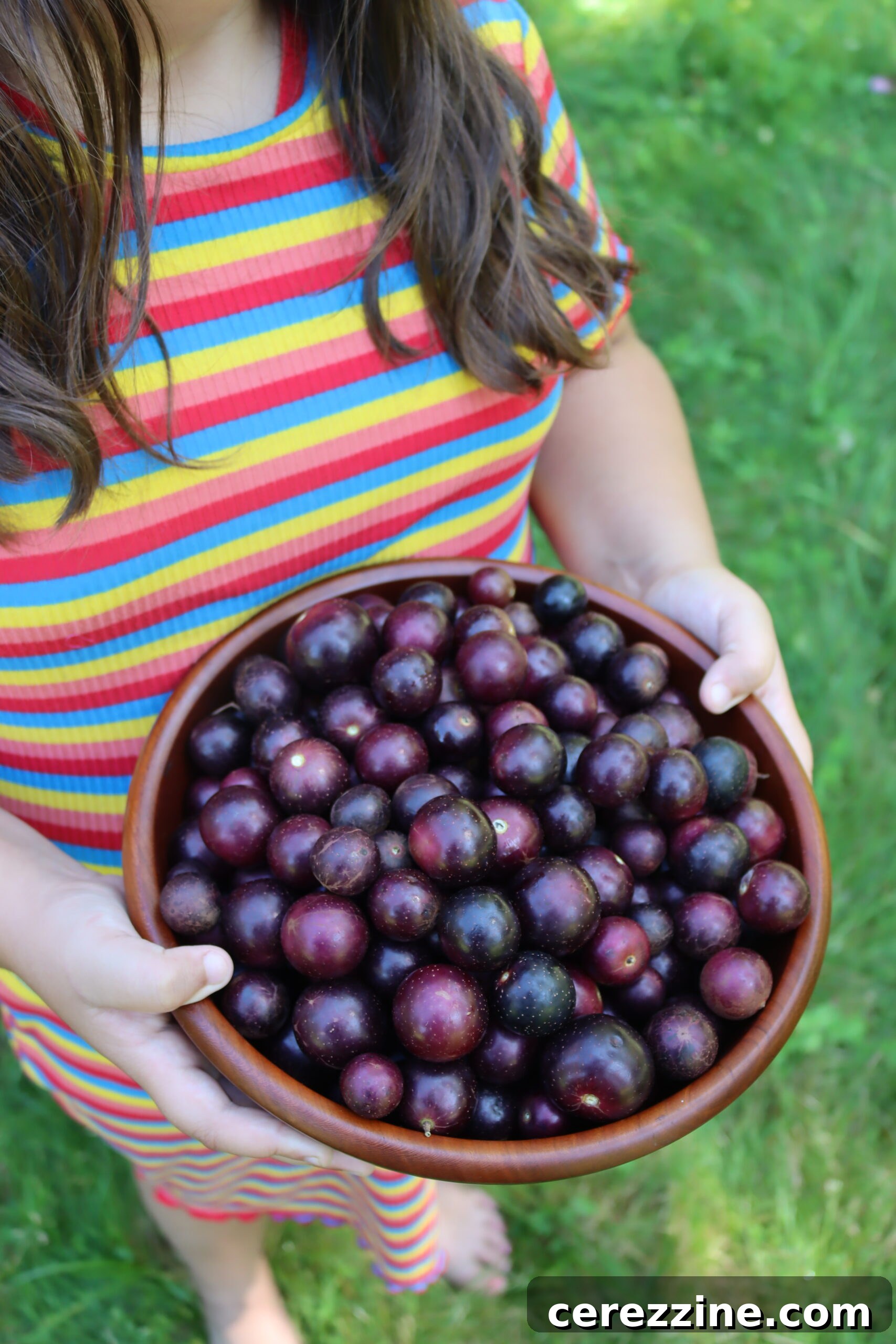 Red Muscadines