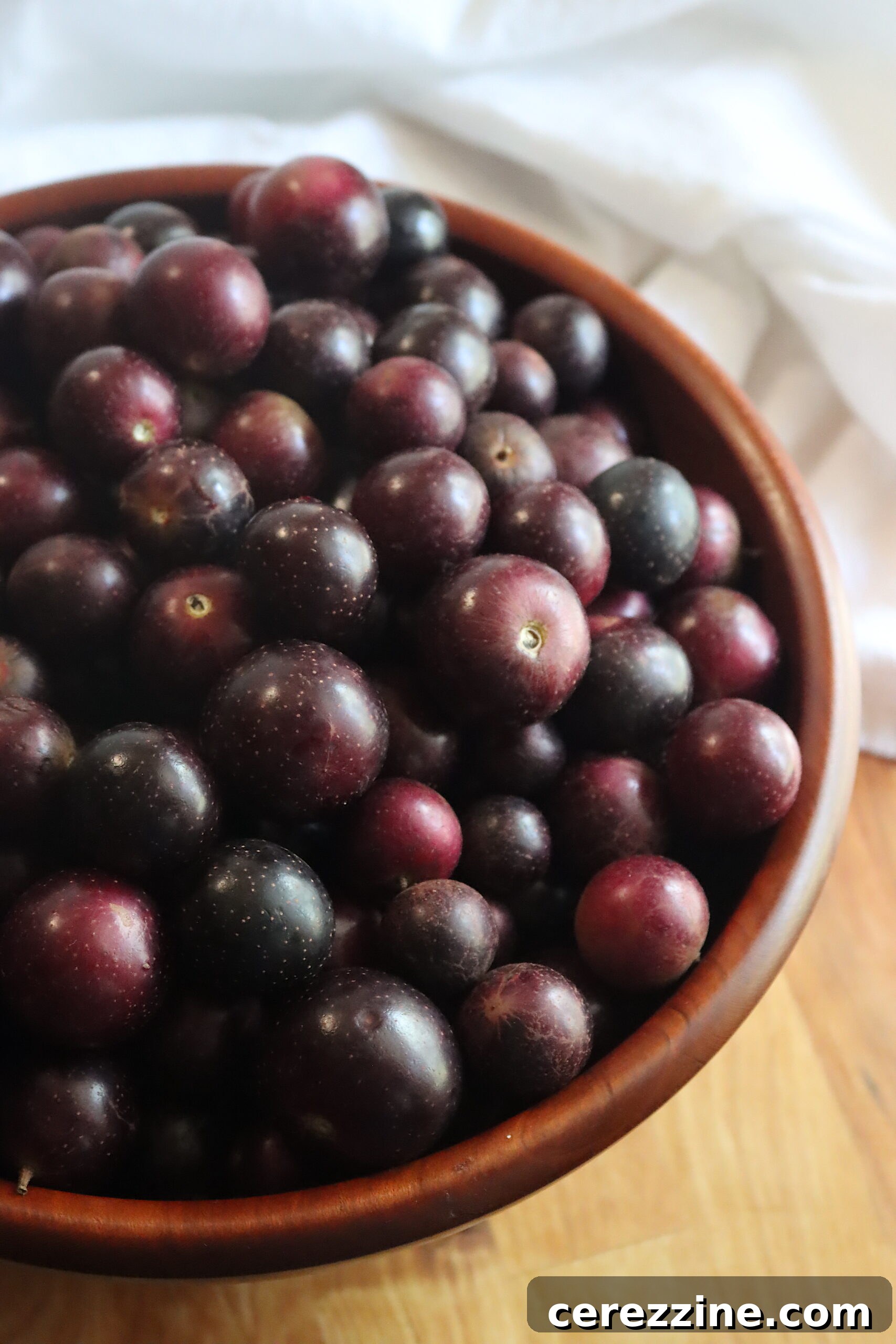 Red Muscadines