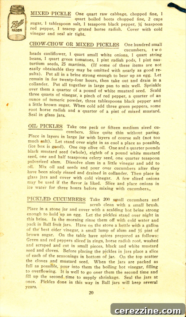 Page 20: How home canners preserved various fruits over a century ago.