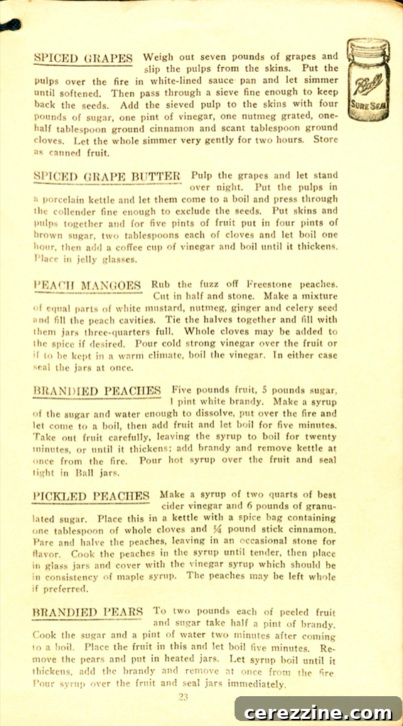 The Correct Method of Preserving Fruits pg. 23