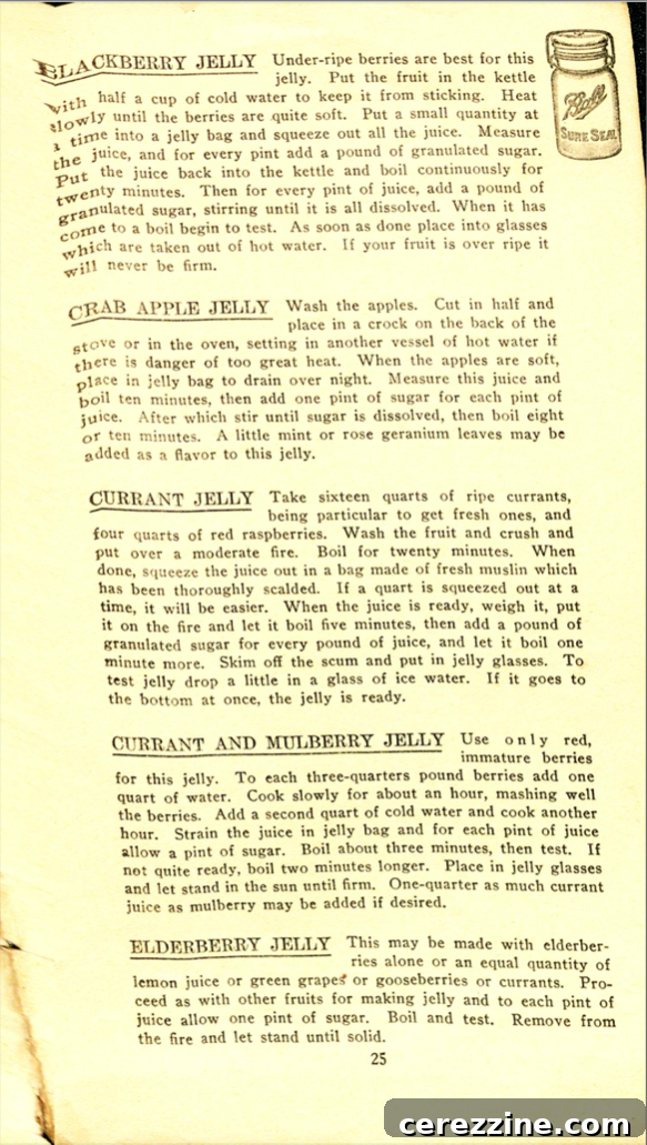 The Correct Method of Preserving Fruits pg. 25