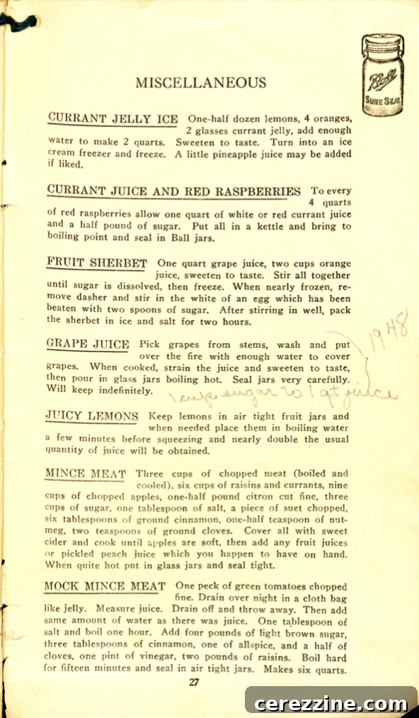 The Correct Method of Preserving Fruits pg. 27