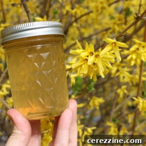 Spring Gold Jelly 13 forsythia jelly
