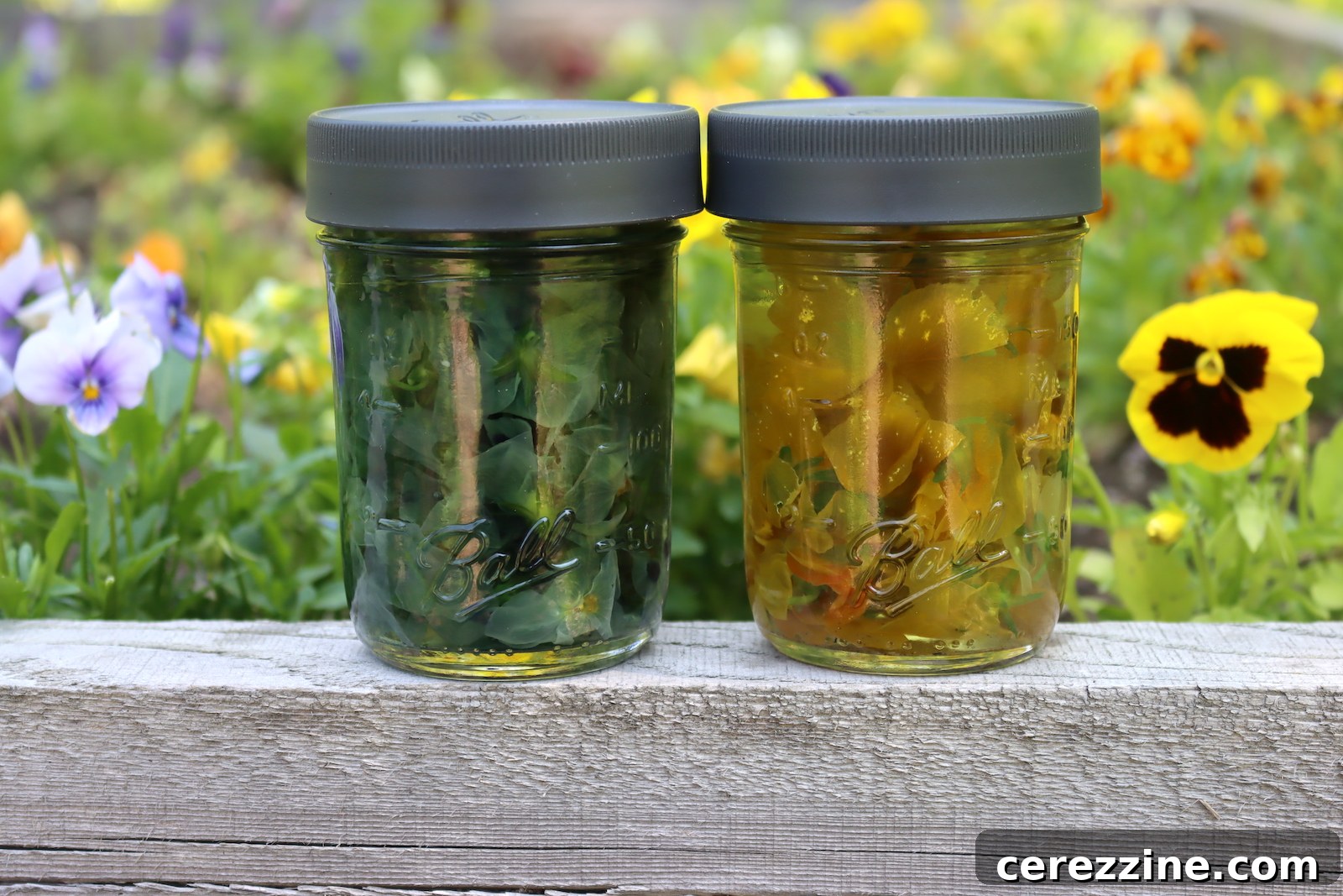 Pansy Tea