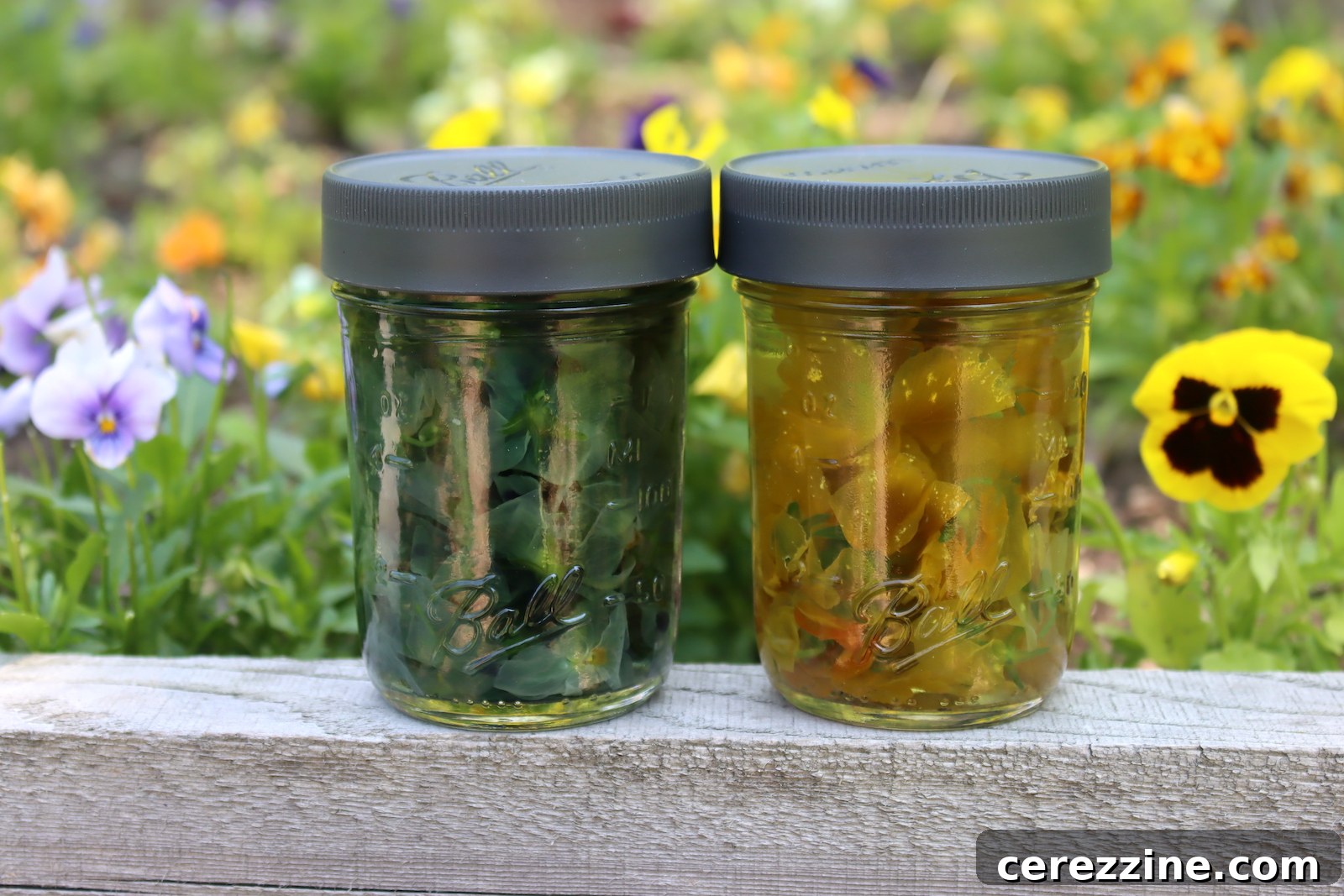 Pansy Tea