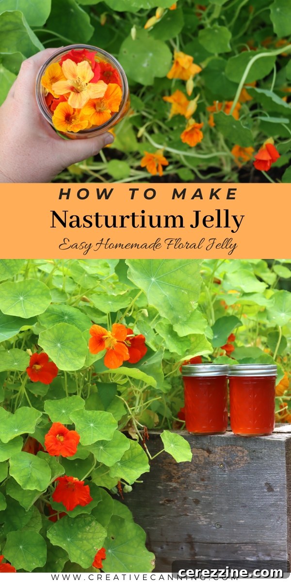 Edible Nasturtium Jelly Recipe
