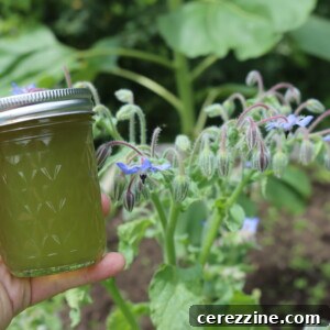 Borage Jelly in a glass jar
