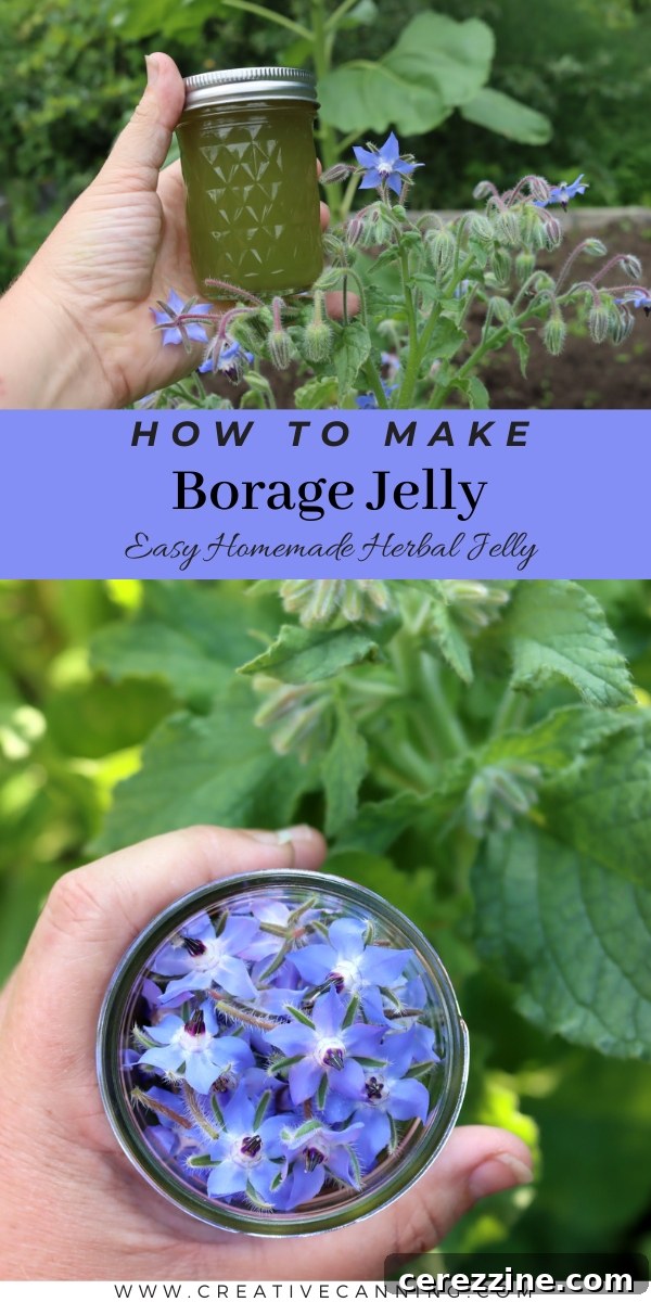 Edible Borage Jelly Recipe - A collection of borage jelly jars with fresh borage.