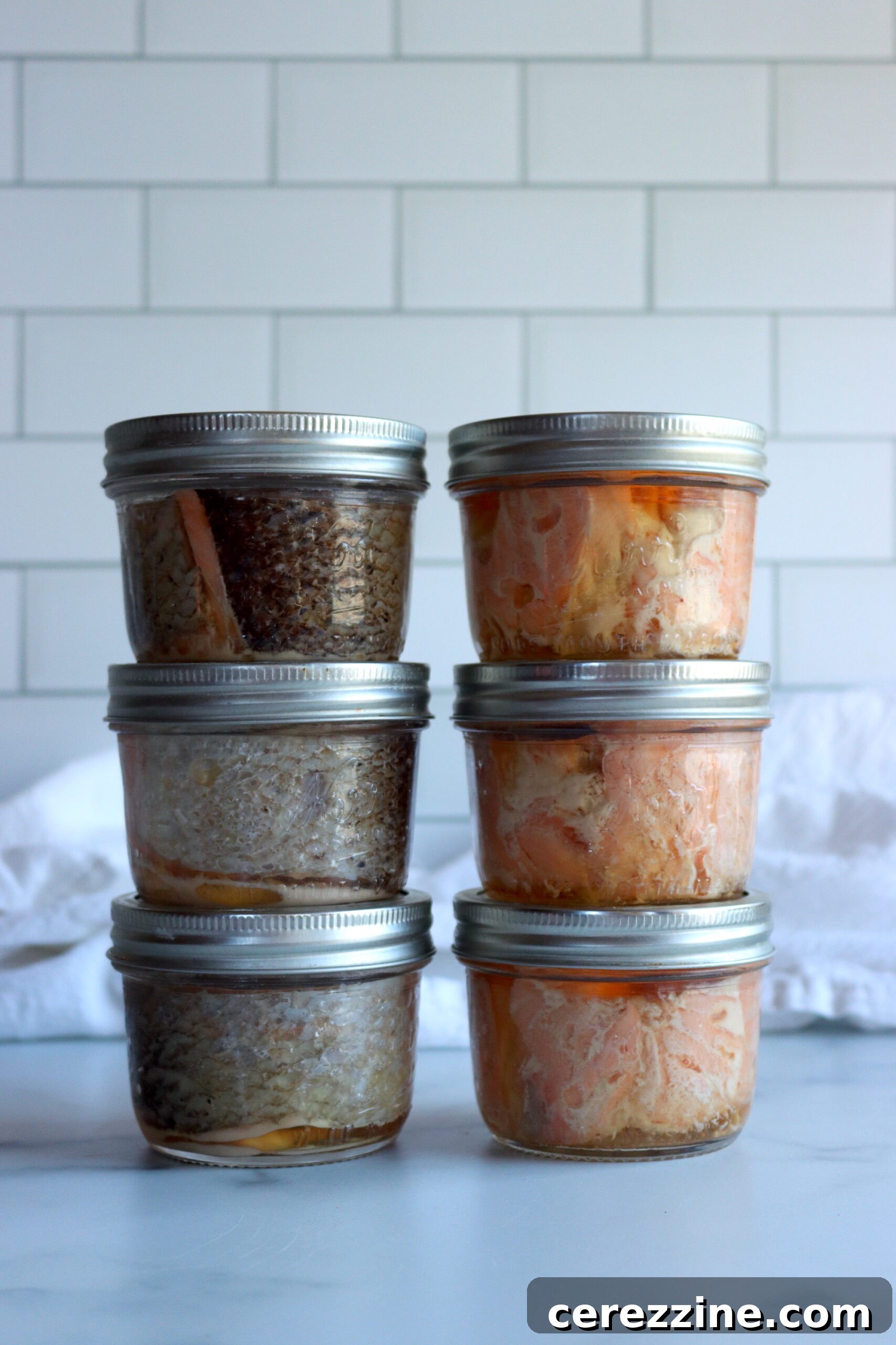 Mastering the Art of Canning Salmon 10 Home-Canned Salmon Ready for the Pantry
