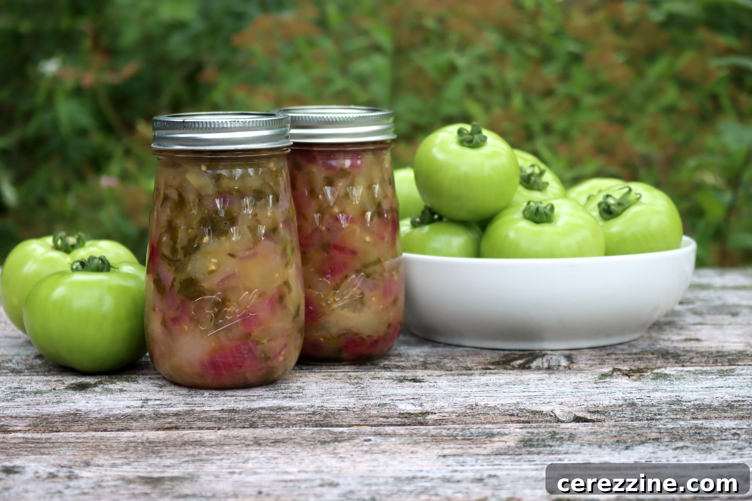 Emerald Tomatillo Salsa 2 Green Tomato Salsa Verde