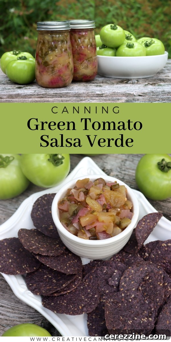 Emerald Tomatillo Salsa 9 Green Tomato Salsa Verde Recipe for Canning