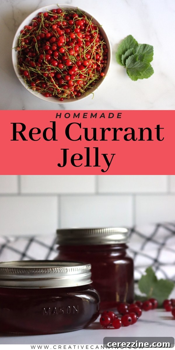 Selection of homemade jellies, including Red Currant Jelly.