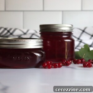Red Currant Jelly