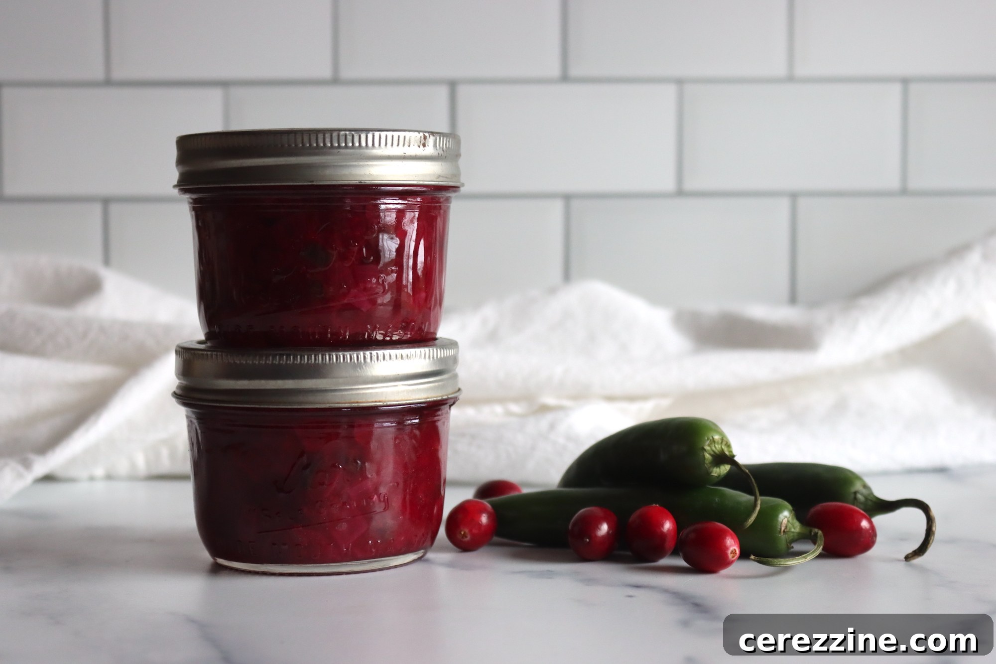 Sweet and Tangy Cranberry Salsa 2 Cranberry Salsa: A Tangy and Spicy Delight