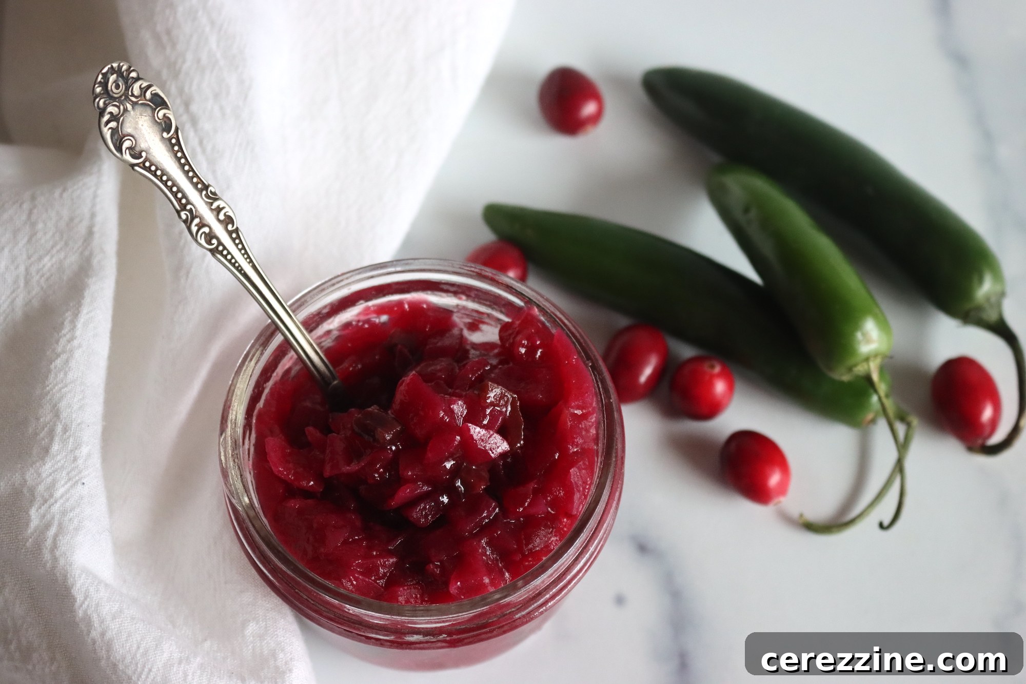 Sweet and Tangy Cranberry Salsa 3 Easy Cranberry Salsa Recipe for Canning