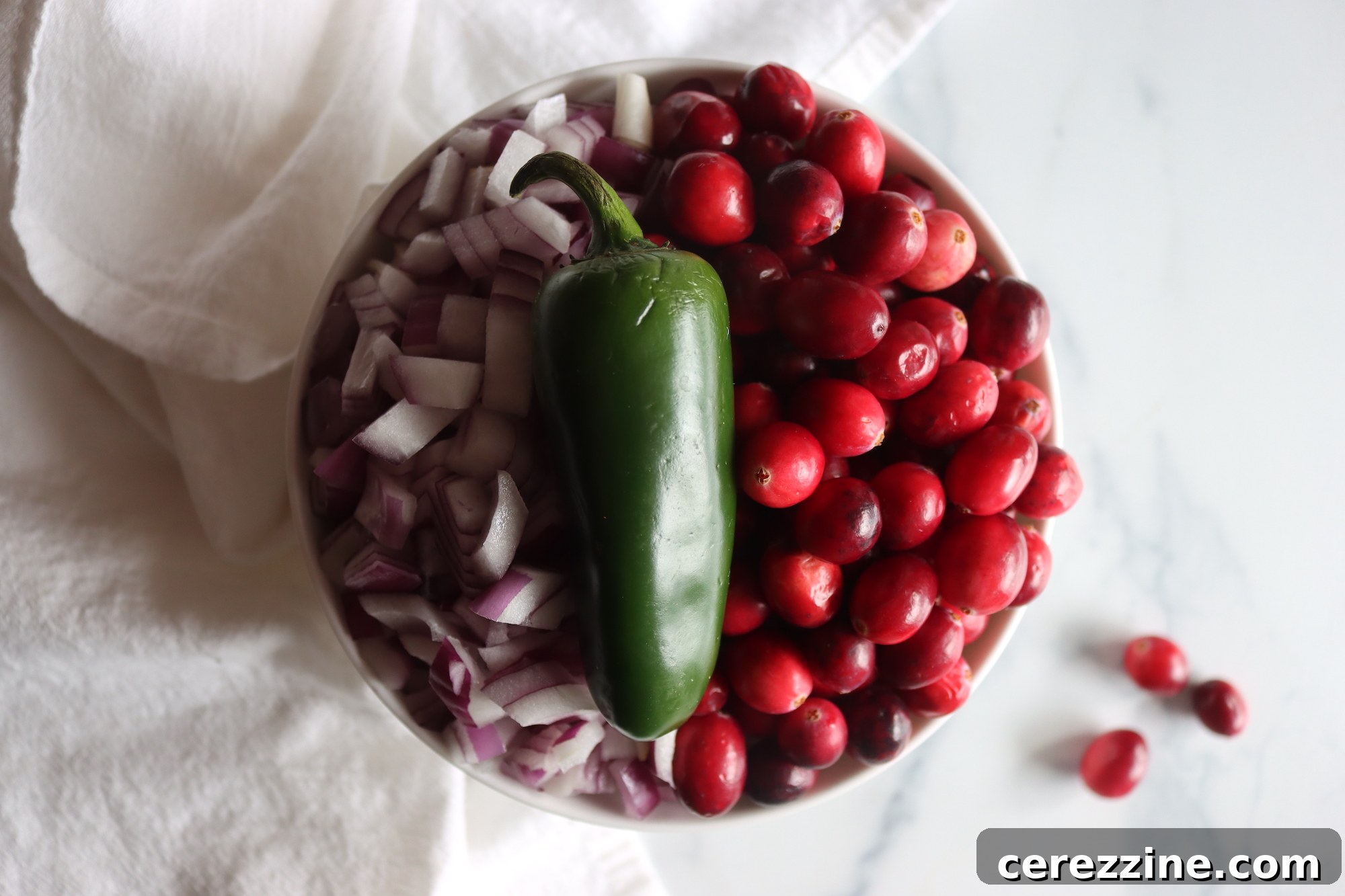 Sweet and Tangy Cranberry Salsa 4 Fresh Ingredients for Cranberry Salsa