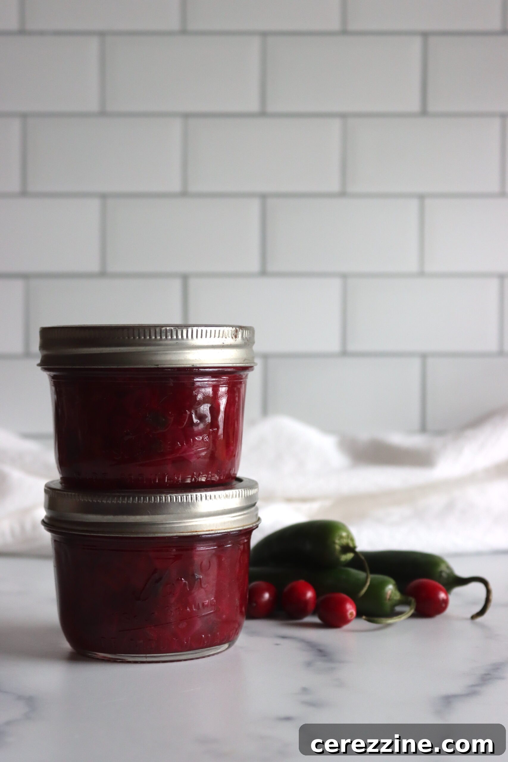 Sweet and Tangy Cranberry Salsa 5 Canned Cranberry Salsa Ready for Storage
