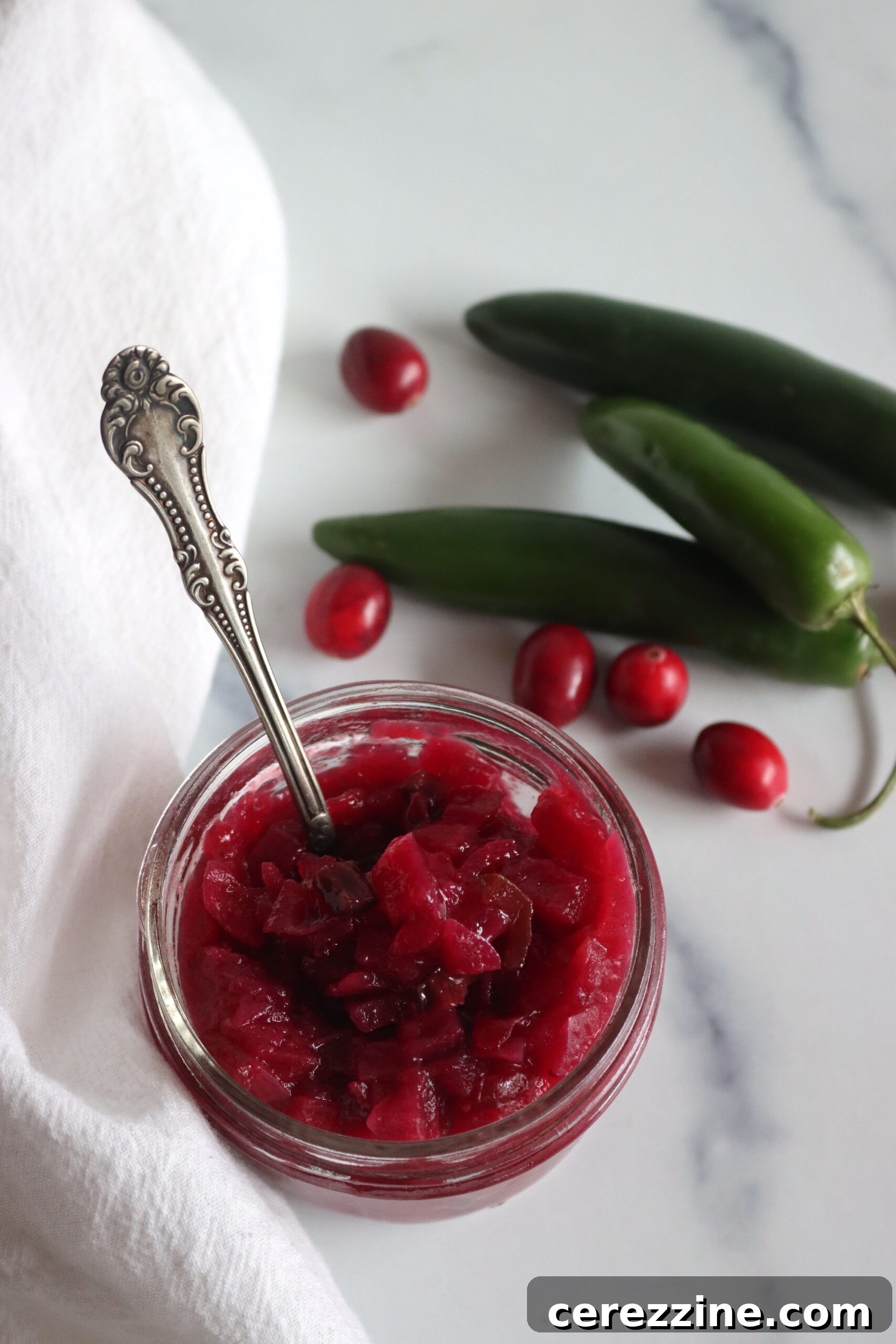 Sweet and Tangy Cranberry Salsa 6 Serving Cranberry Salsa with Fresh Ingredients