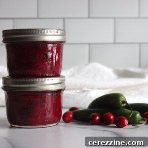 Cranberry Salsa