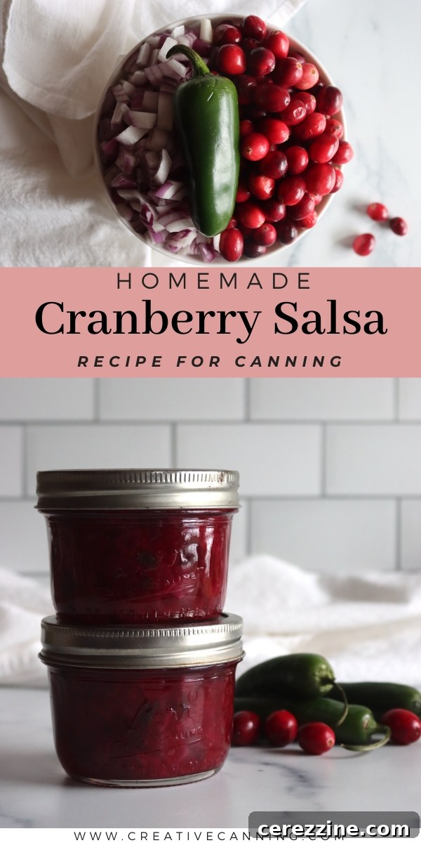 Sweet and Tangy Cranberry Salsa 8 Cranberry Salsa canning Recipe - Final product