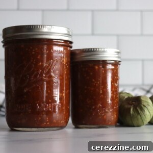 Chipotle Tomatillo Salsa