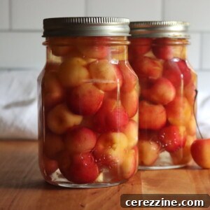 Canning Cherries
