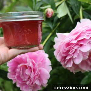 A jar of delicate pink peony jelly.