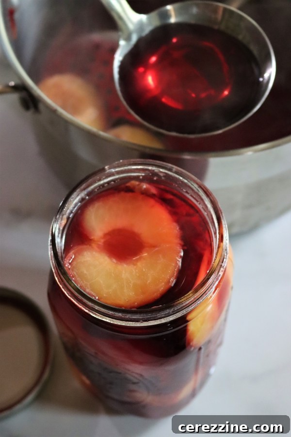Homemade Syrups for Canning Fruit 5 Canning Plums in syrup or water