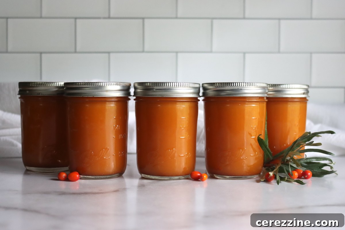 Canned Sea Buckthorn Juice - Home Preserved Seaberry Drink