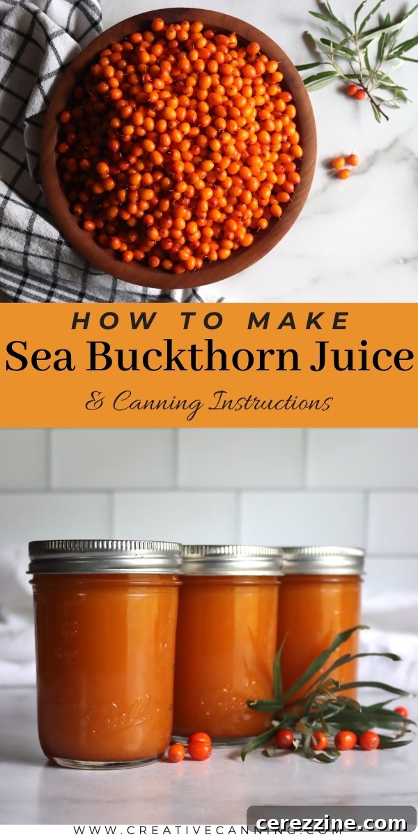 Sea Buckthorn Juice Recipe and Canned Jars