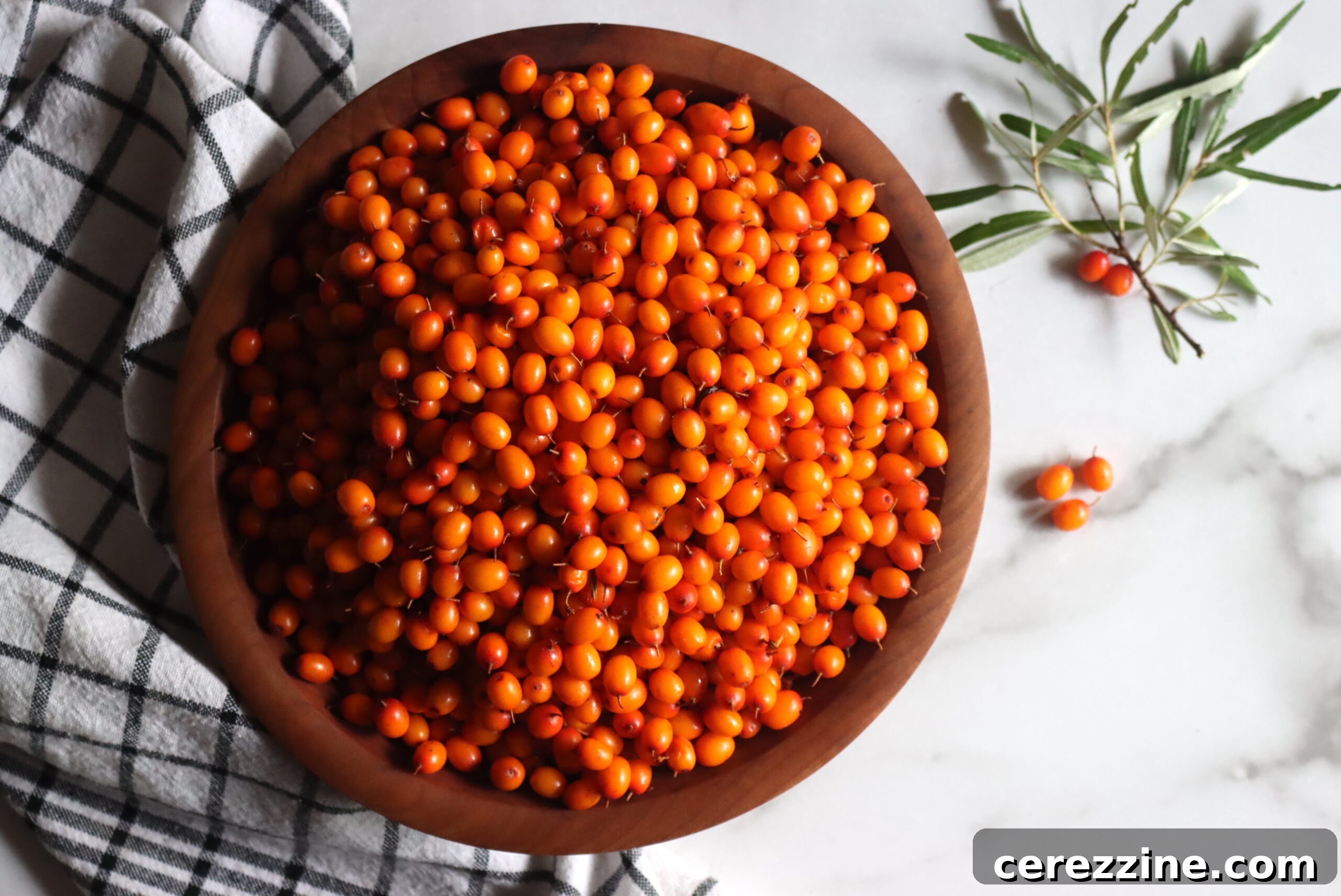 Fresh Seaberries or Sea Buckthorn Berries