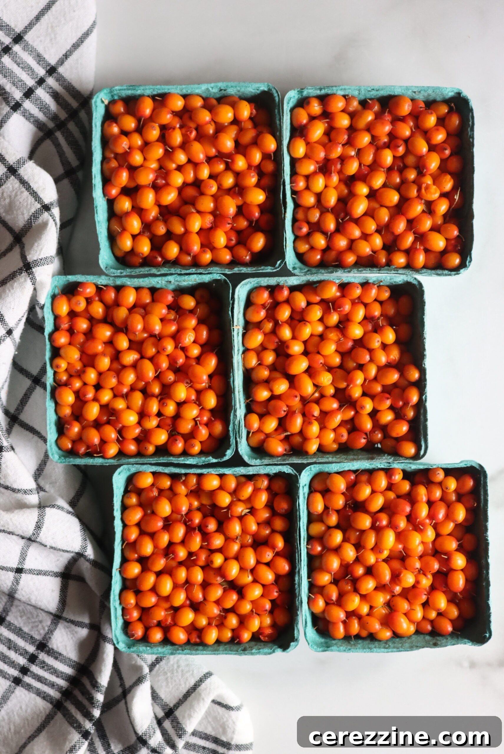 Farmers Market Seaberries for Sale