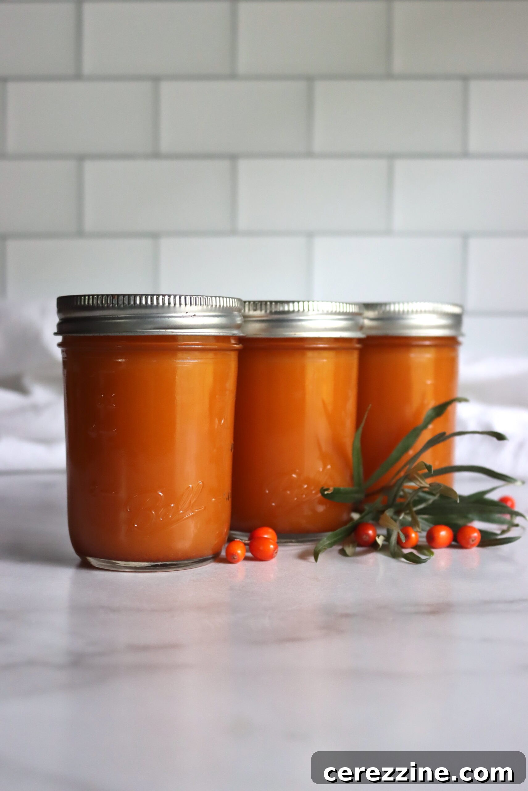 Jar of Canned Sea Buckthorn Juice