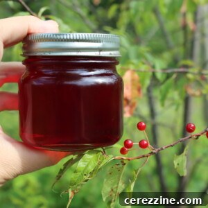 Pin Cherry Jelly