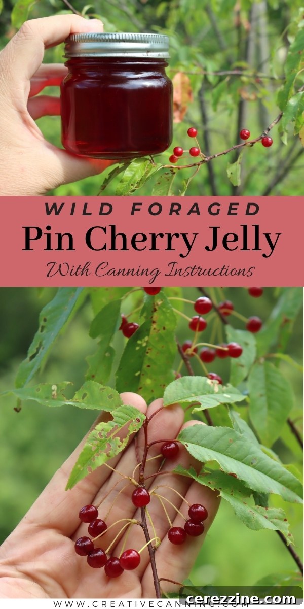 Pin Cherry Jelly Recipe