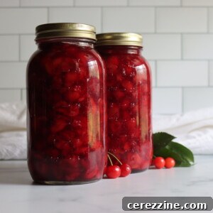 Delicious Canned Cherry Pie Filling 6 Canning Cherry Pie Filling